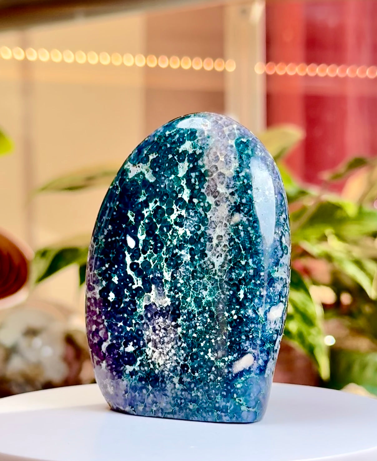Grape Agate • Ocean Jasper