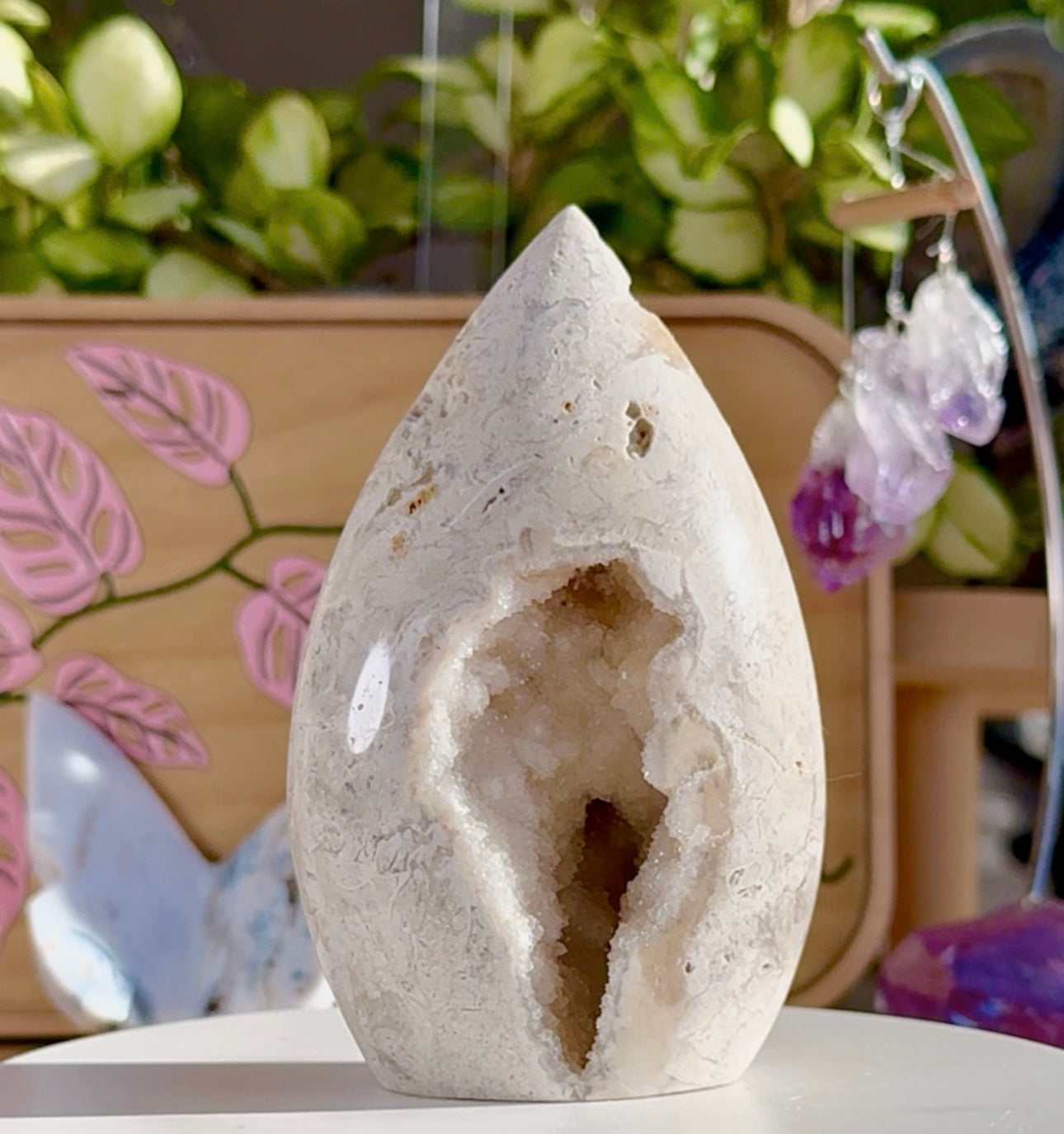 Custom listing for Shelly