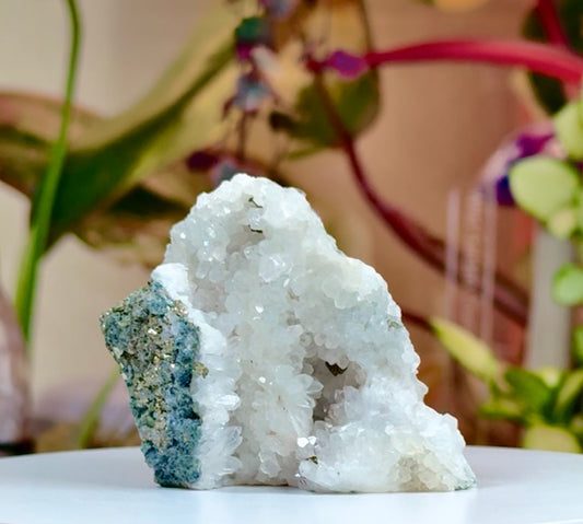 Pyrite • Druzy Quartz