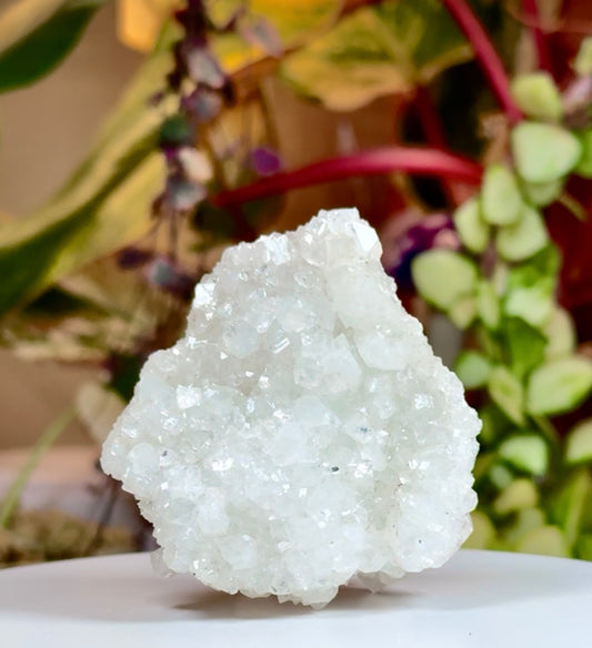 Diamond Apophyllite