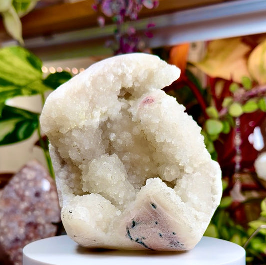 Botryoidal Chalcedony • Chlorite • Druzy Quartz • Hematite • India
