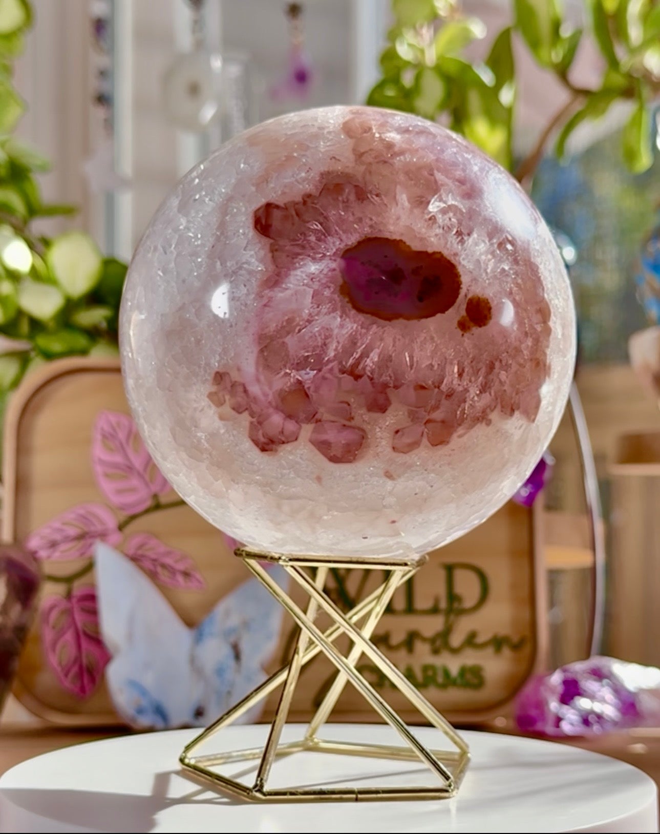Flower Agate & Quartz • Brazil