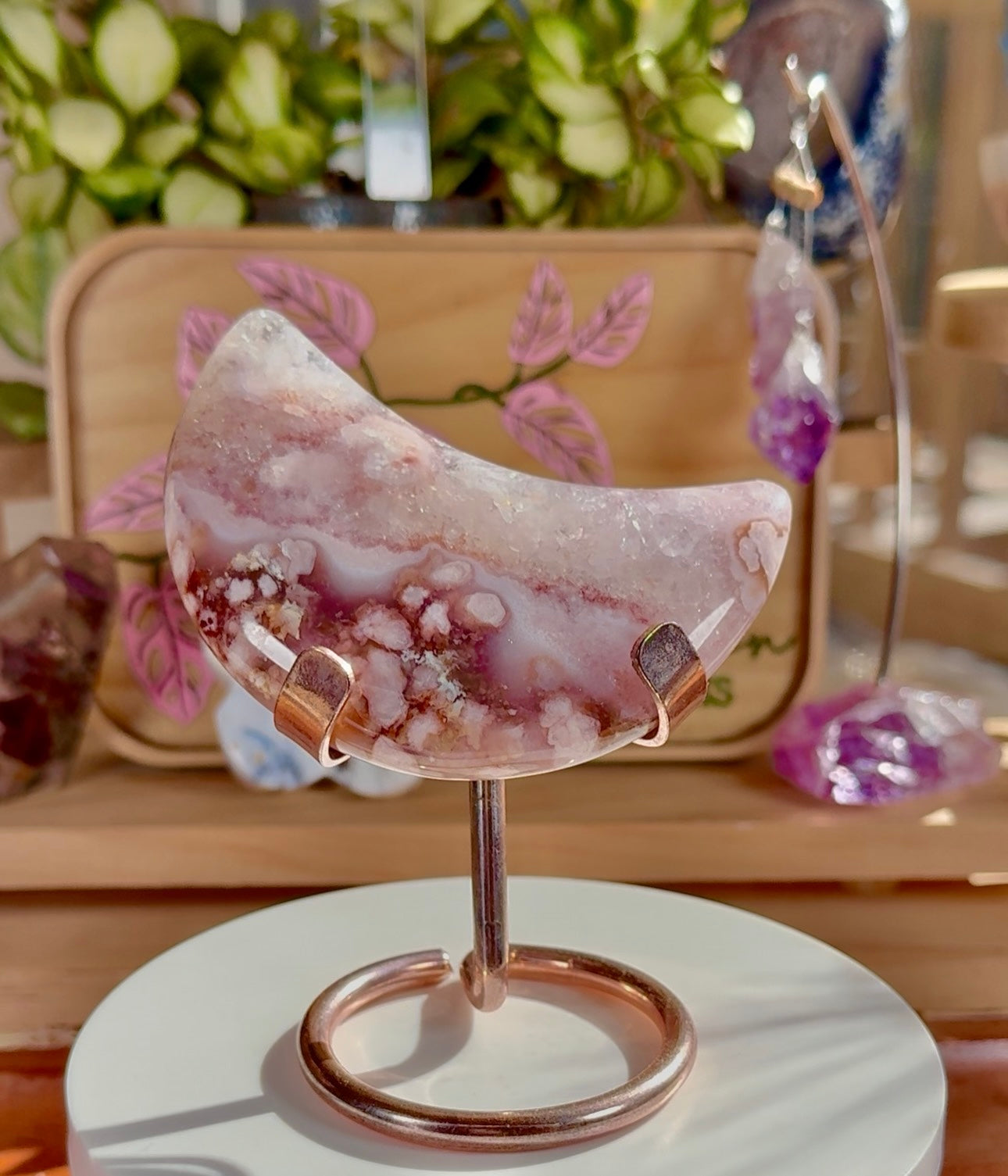 Custom listing for Shelly