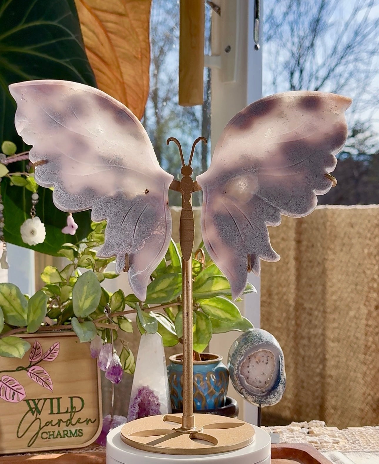 Custom listing for Shelly