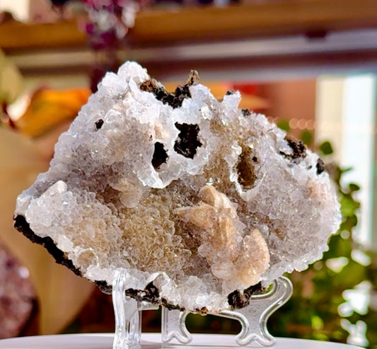 Galaxy Amethyst Flower • Zeolite • India