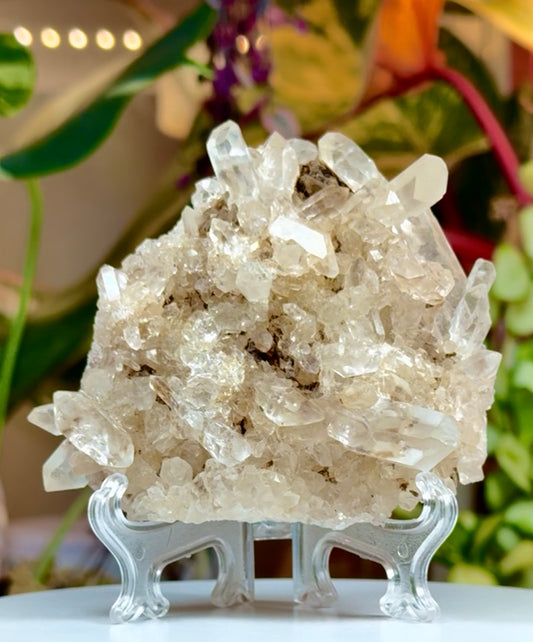 Himalayan Quartz 