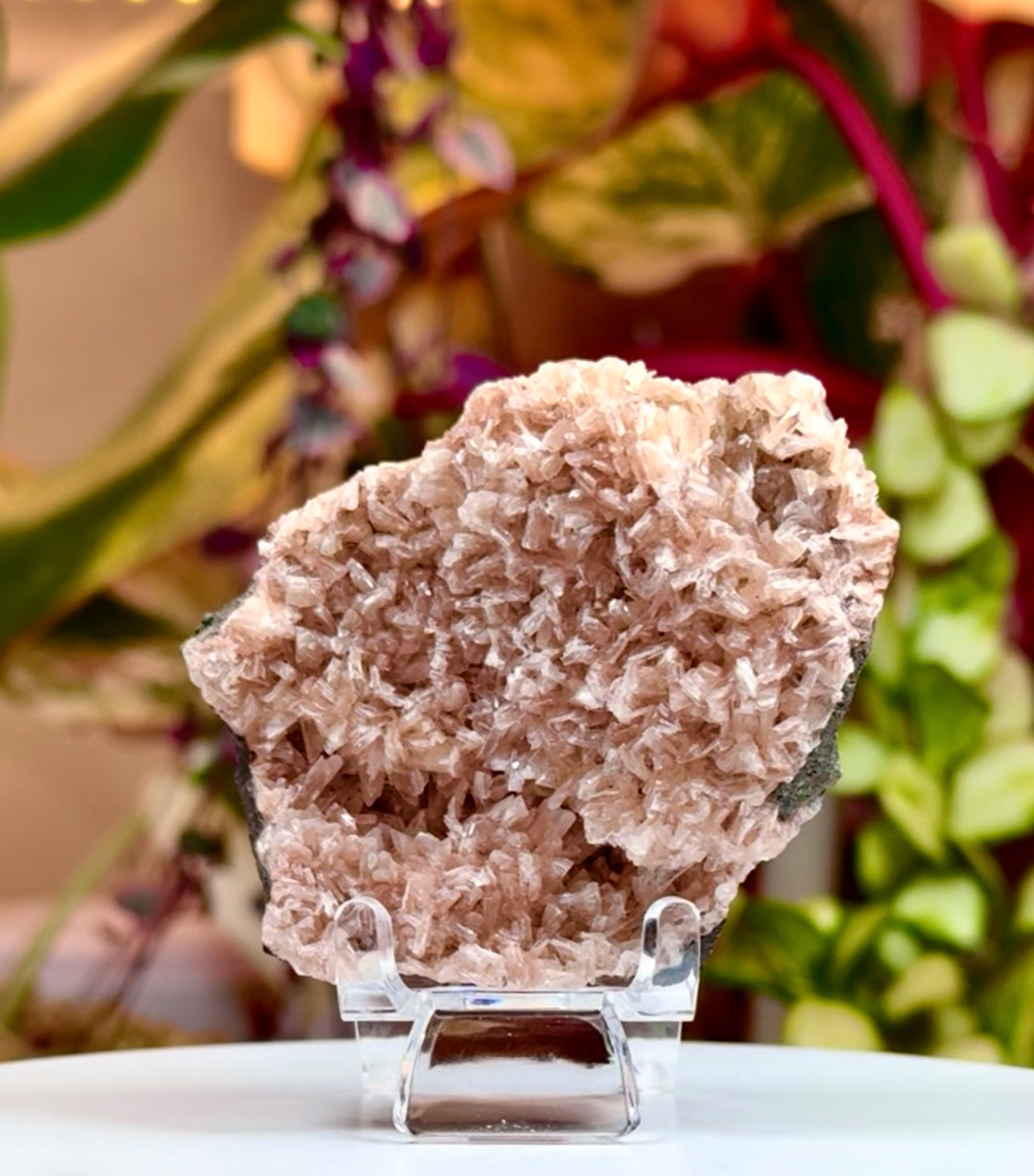 Pink Apophyllite 