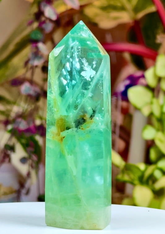 UV Reactive Baja Flourite 