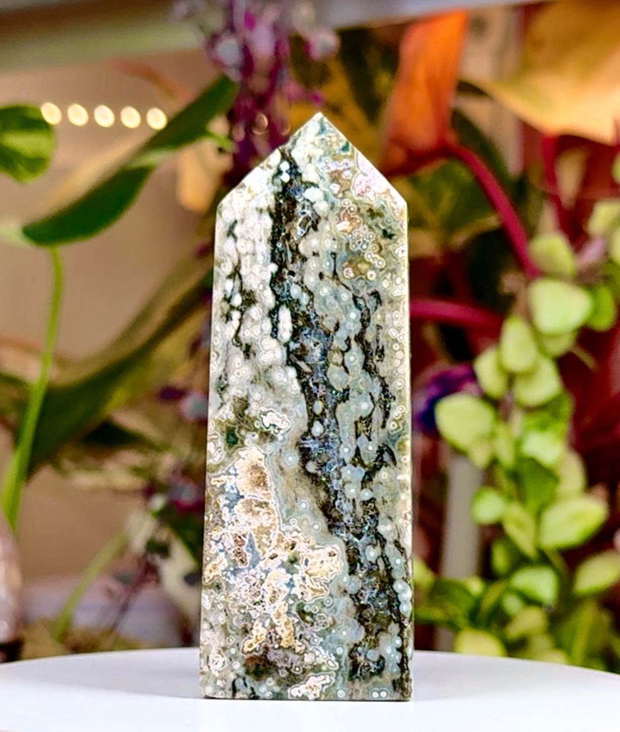 Veinless Orbicular Ocean Jasper