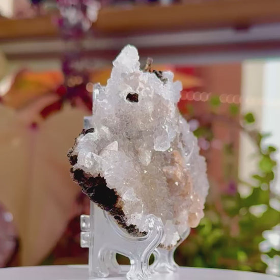 Galaxy Amethyst Flower • Zeolite • India