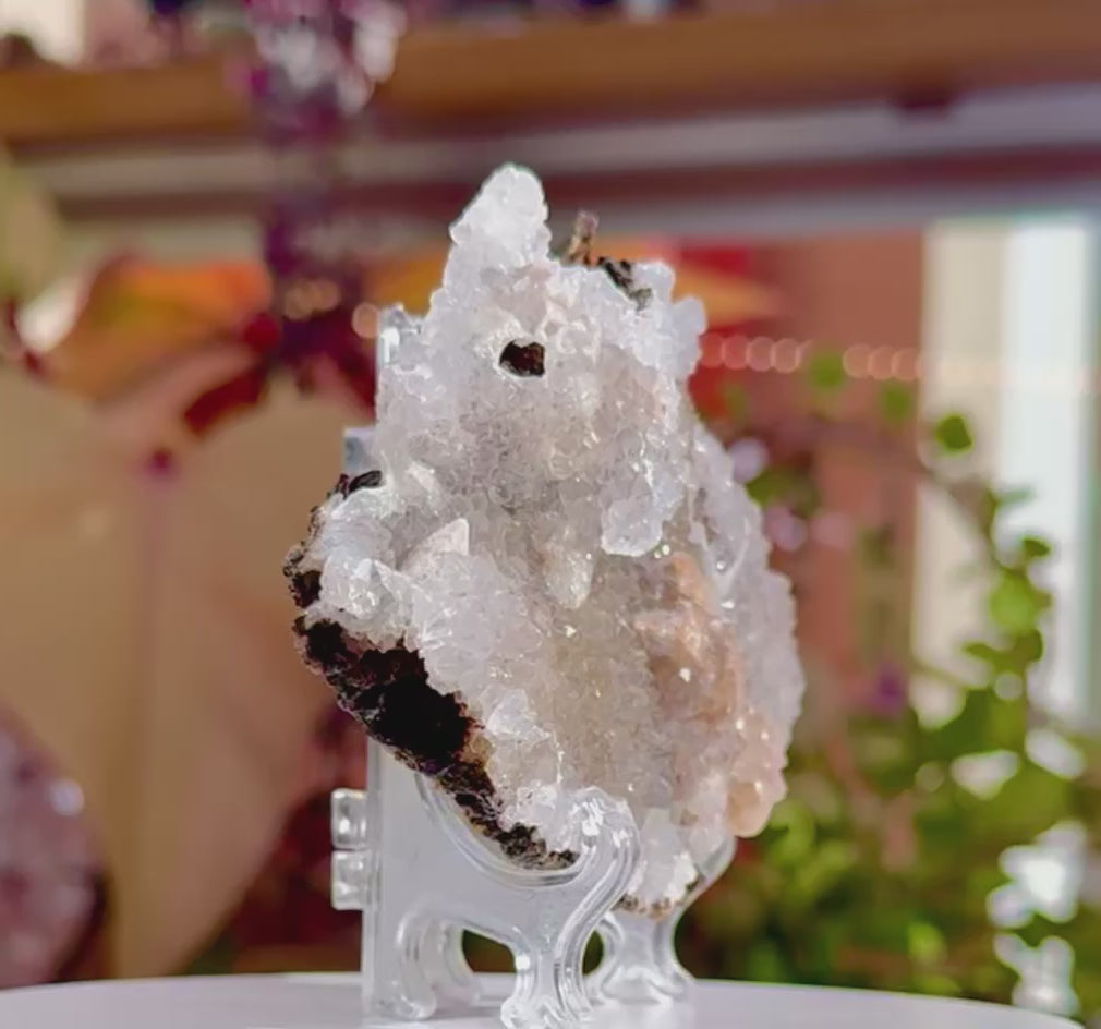 Galaxy Amethyst Flower • Zeolite • India