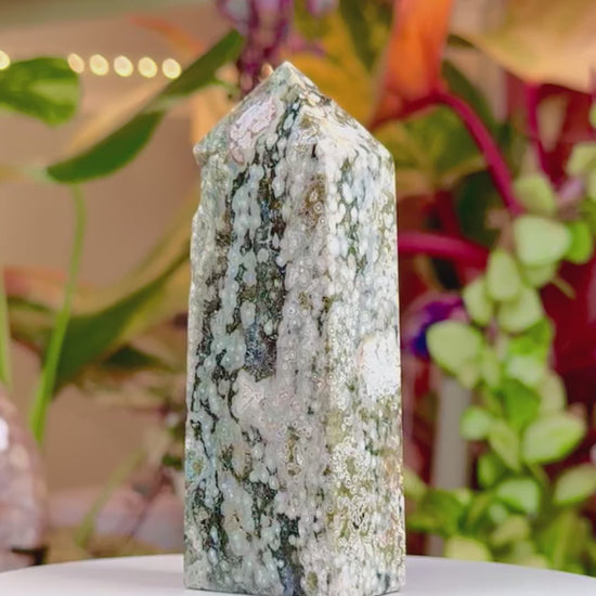 Veinless Orbicular Ocean Jasper