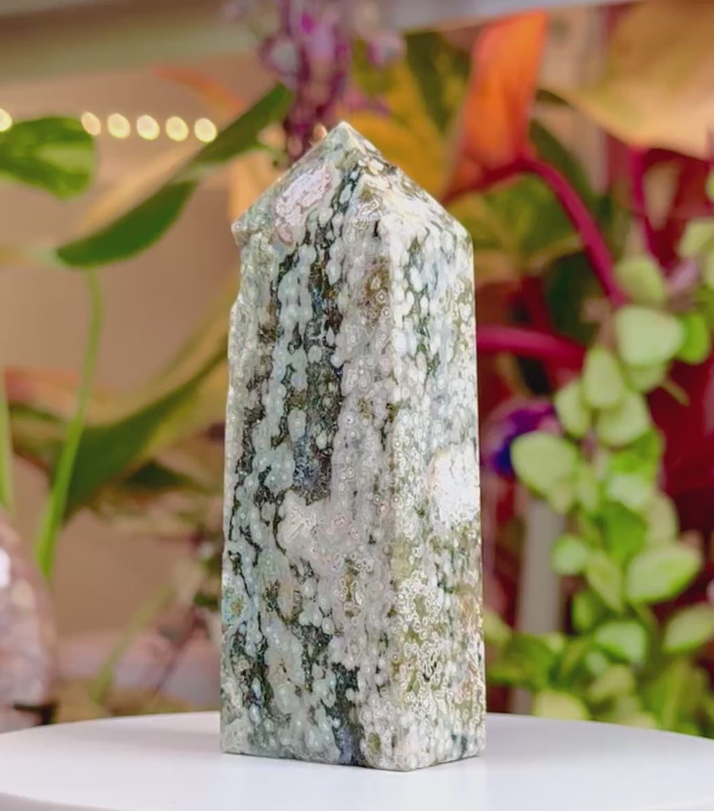 Veinless Orbicular Ocean Jasper