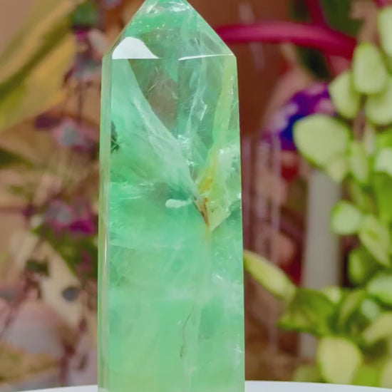 Baha Flourite Mexico