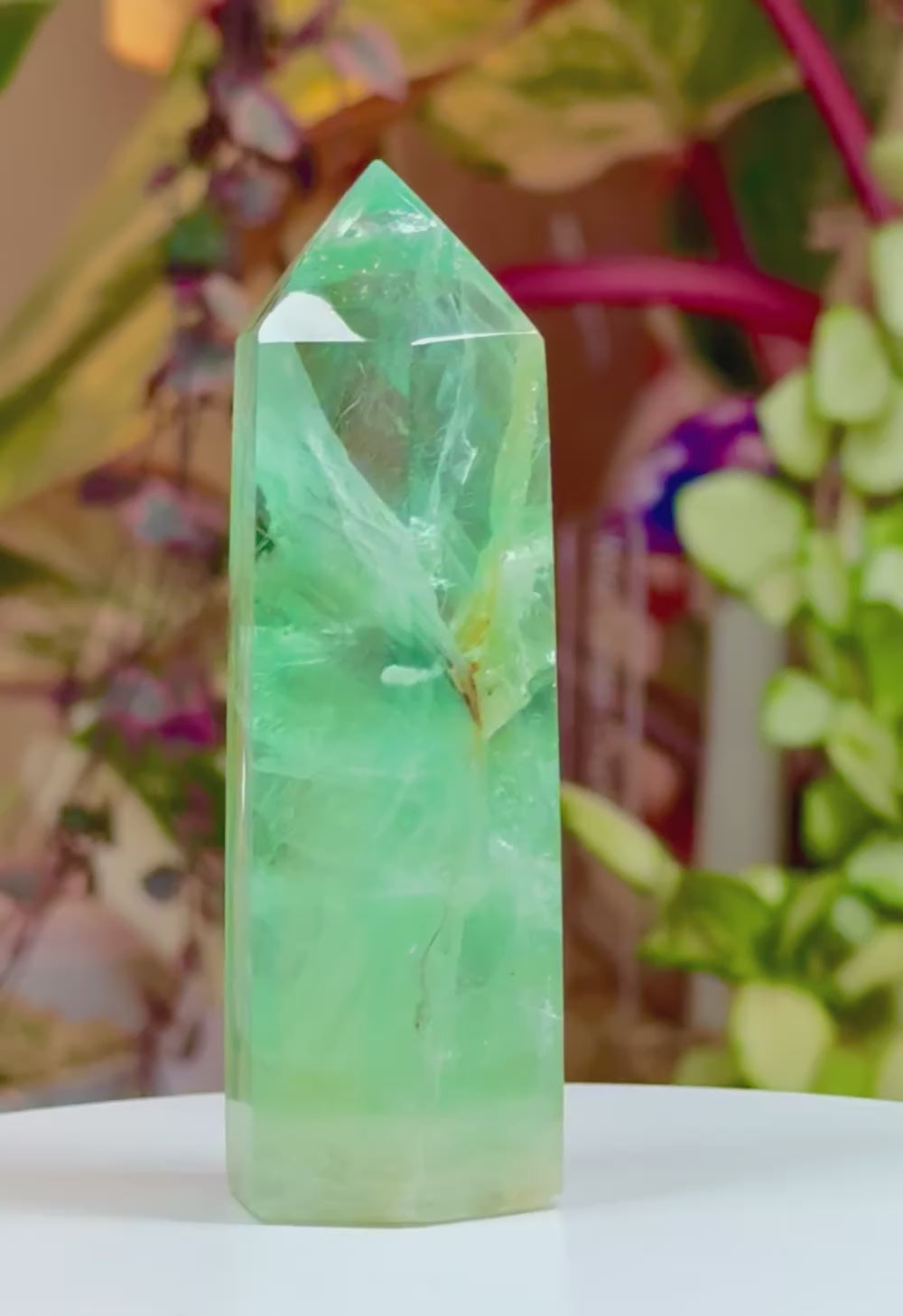 Baha Flourite Mexico